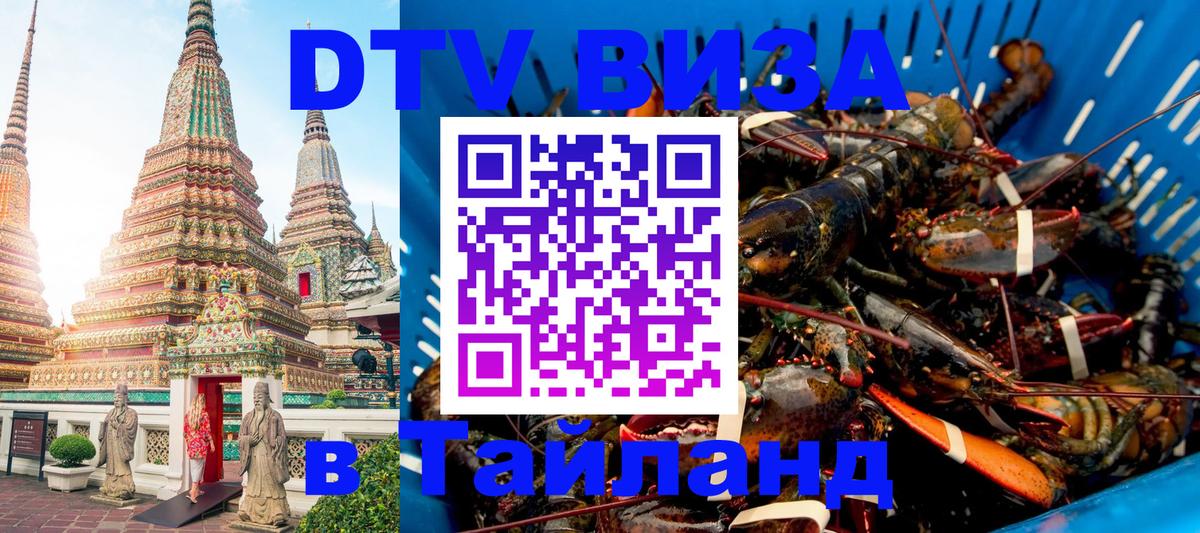 Оформление DTV визы под ключ: стоимость и тарифы, только загранпаспорт - Тула  19.11.2025 